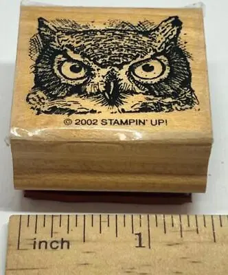 OWL EYES Wildlife Bird Of Prey Feathers Branch Stampin' Up! 2002 RUBBER STAMP • $11.95