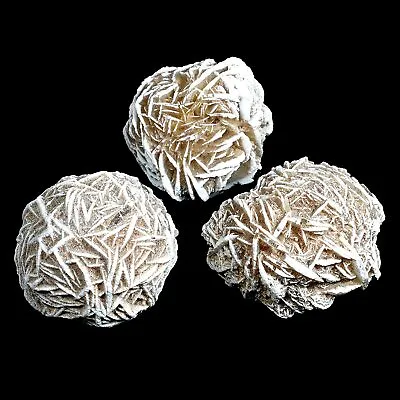 $11.95 • Buy 20 Desert Rose Selenite Mineral Crystal Collection Specimen Rock Brown White