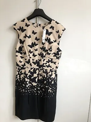 Womens Warehouse Butterfly Print Ottoman Dress Size 12 BNWT Formal Work Party • £20.99