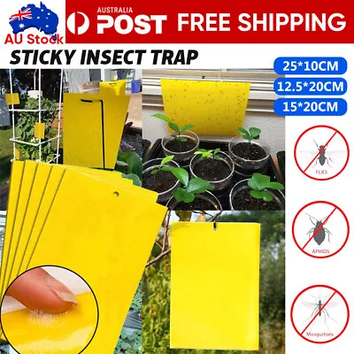 Up 100 Pc Yellow Sticky Paper Insect Trap Catcher Killer Fly Aphids Wasp AU • $20.56