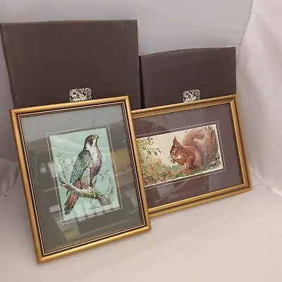 £16.99 • Buy J&J Cash Cooks Collector Series Red Squirrel And Peregrine [HM]