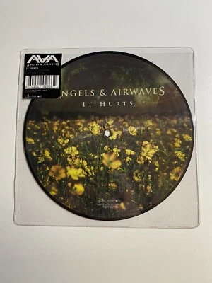 £29.95 • Buy Angels & Airwaves - It Hurts 7” Picture Disc Vinyl Blink 182