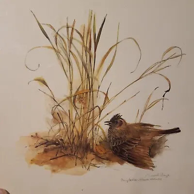 Original Danish Artist Signed Numbered Print Mads Stage Wildlife Eurasian Lark  • $70