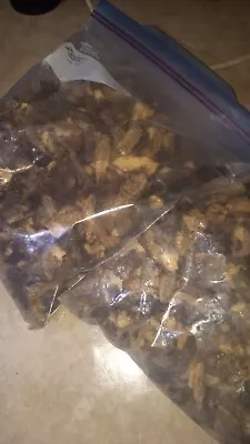 Dried Morel Mushrooms - Morchella Conica Picked In Northwest Washington State • $10