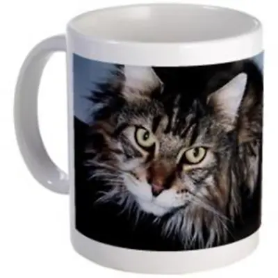 $20 • Buy Personalised Cat Photo Name Mug Pet Custom Keepsake Gift