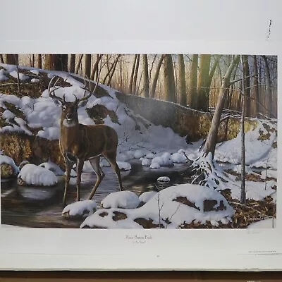 Jim Hansel River Bottom Buck Unframed Whitetail Deer Print S/N 400/10000 • $25