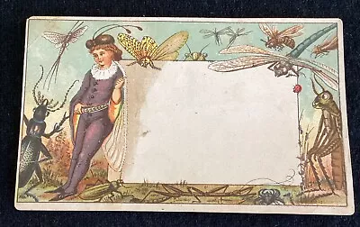 Vintage Anthropomorphic Insect Trade Card Victorian Dragonfly Cricket Bee Bugs • $3.90