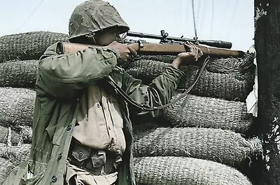 Vietnam  War  Photos --   US Sniper About To Fire • $3.99