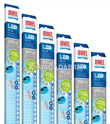 Juwel LED Blue Bulbs For MultiLux Light Unit Actinic Coral Growth Aquarium Tank • £33.99