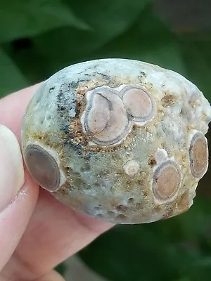 35mm Natural Gobi Agate Eye Agate Stone Suiseki-viewing Collection China • $17.70