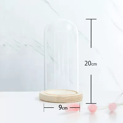 Glass Display Dome Bell Jar Cloche Wood Base Figure Action Gift Table Ornament • $20.59