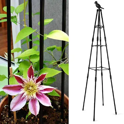 New Outdoor Metal Garden Plant Cage Support Frame Plant Obelisk Climbing Support • £8.89