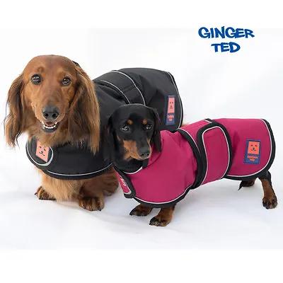 Ginger Ted Waterproof Dachshund Dog Coat Optional Harness Warm Lining Raincoat • £36.99