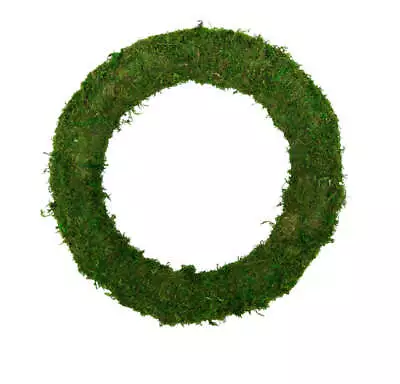 6.5  Preserved Moss Wreath DIY Brides Weddings Home Decor Craft Supplies • $18