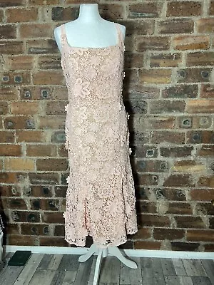 Jarlo @ Lipsy Pink/nude Floral Lace Midi Dress Fits Size 12 Nwt • £34.95