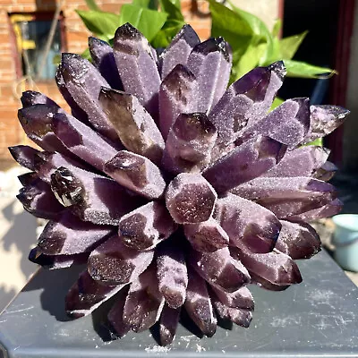 10.9LB New Find Amethyst Phantom Quartz Crystal Cluster Mineral Specimen Healing • $17.50