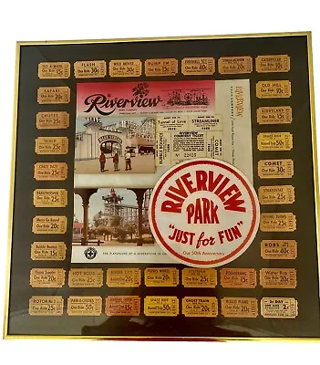 Vintage CHICAGO Riverview Amusement Park 18 X 18   Framed ART 50th Anniversary • $100