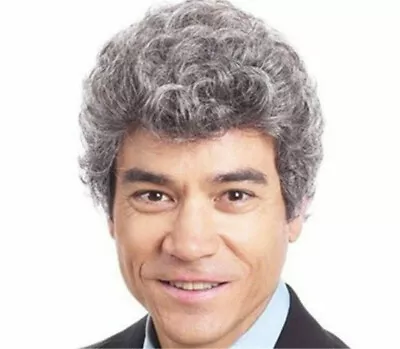 £7.07 • Buy Men Wig Short Grey Mix Curly Fashion Male Cosplay Daily Party Hair Full Wig
