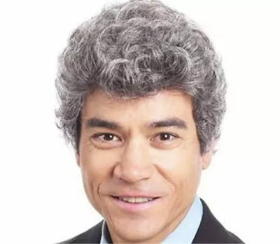 Men Wig Short Grey Mix Curly Fashion Male Cosplay Daily Party Hair Full Wig • £7.07