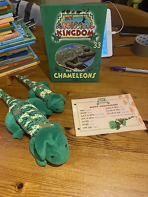 My Animal Kingdom: All About Chameleon 2 Toys Hard Book Certificate Inc. • £8.50