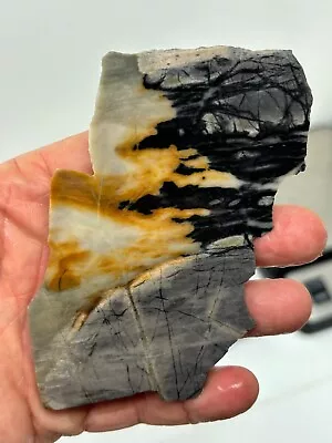 Picasso Marble (Jasper) End Cut Slab Cabbing Lapidary Utah Combo Ship Avail • $12