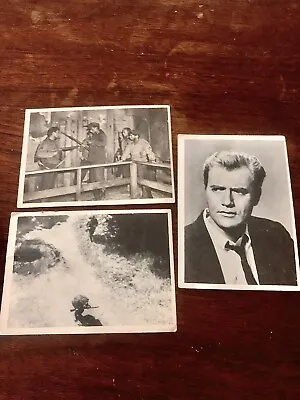 3 - 1963 Selmur Combat Taking Prisoner Card #34 Vic Morrow #4 Advancing #15 • $12