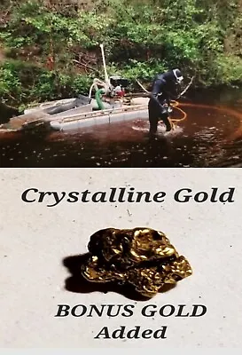 Alaska BONUS Gold Nugget Panning Paydirt 6  Dredge Concentrates GUARANTEED FUN • $50