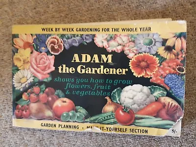 Adam The Gardener - Sunday Express Publication Week By Week Gardening For Year  • £3