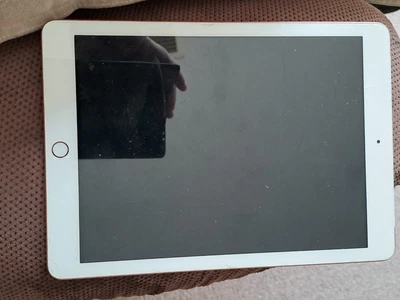 $40 • Buy Apple IPad 6th Gen WIFI + Cellular 32GB Rose Gold 