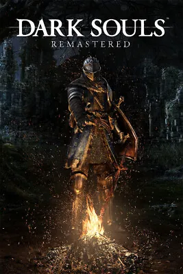 Dark Souls Video Game Role Playing Game Action Wall Art Home - POSTER 20x30 • $23.99