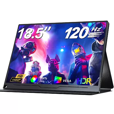 18.5 Inch Portable Monitor 120Hz 100% SRGB 1080P HDR Large Screen Gaming Monitor • $139.99