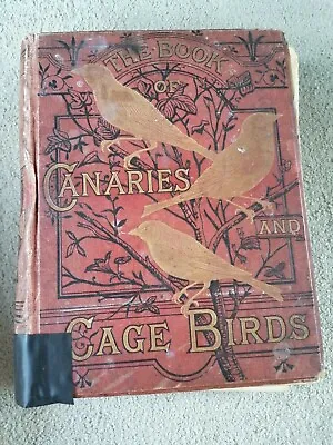 The Illustrated Book Of Canaries And Cage Birds British And Foreign Circa 1880s • £199