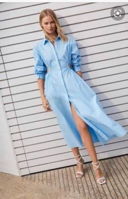 $299 • Buy Scanlan Theodore Shirt Dress  Cotton Cut Out Size 10