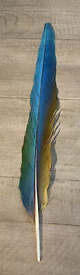 Hybrid Macaw Feather Tail  19” Peyote Craft Fishing • $35