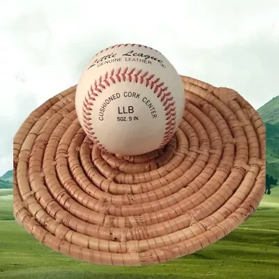 $9.99 • Buy RAWLINGS LITTLE LEAGUE BASEBALL, YOUTH RAISED SEAMS, RLLB, RS-T Ball Practice