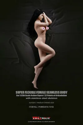 £47.99 • Buy 1/12 TBLeague T01B Suntan Skin Girl Body Flexible Action Figure Steel Skeleton