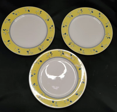 £24.58 • Buy Set Of 3 Royal Doulton BLUEBERRY Dinner Plates 10 1/4 