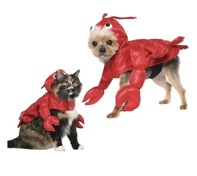 $13 • Buy Vibrant Life Halloween Lobster Costume Small For Dogs 10-20 Lbs NEW