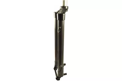 EXotic Rigid Carbon 29er Mountain Bike Fork Post Mount PM Disc Brake 49.0cm 29 • $197.89