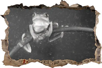 Tree Frog On Bamboo Art Charcoal Effect - 3D Look Breakthrough Wall Tattoo Sticker • £17.20