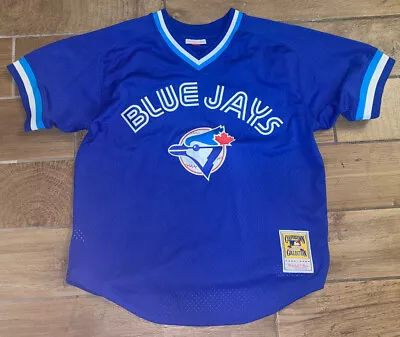 1993 Joe Carter #29 Toronto Blue Jays Mitchell & Ness Cooperstown Jersey • $65