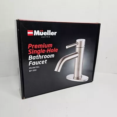 Mueller Premium Single-Hole Bathroom Sink Faucet  Stainless Steel BF-550. • $39.89