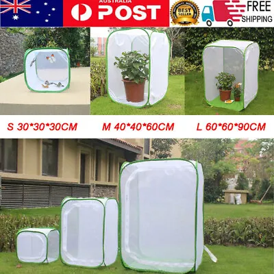 Foldable Insect Butterfly Habitats Mesh Cage Housing Enclosure Terrarium Cage • $13.58