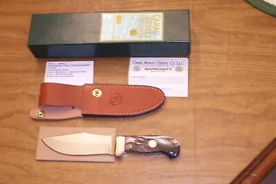 Canal Street Cutlery 2010 D'holder Bowie Hunter # 387 Buffalo Horn Handle Nib • $589.99