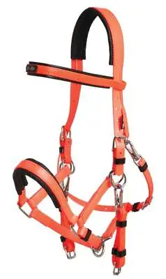 £69.99 • Buy Zilco Marathon Endurance Bridle – Orange