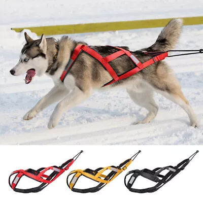 Dog Harness X-Back Dog Sled Canicross Scooter Bikejöring • £28.47