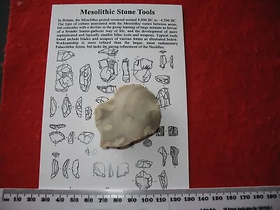 Mesolithic Flint Stone Age Tool Knife Scraper Spear Arrow UK Find #5 • $6.22