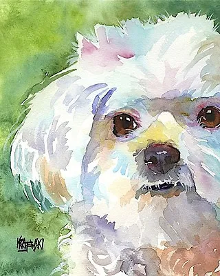 Maltese Dog 11x14 Signed Art PRINT RJK From Painting • $31.50