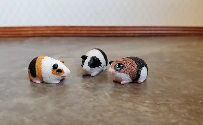Dollhouse Miniature Guinea Pigs Set Of 3 1:12 Scale Pet Black White Brown Orange • $5.99