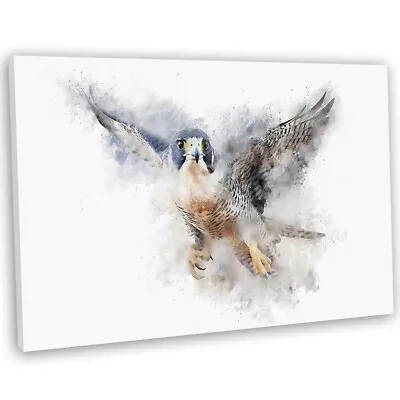 Peregrine Falcon Flight Watercolour Style Canvas Print Framed Wall Art Picture • £17.99
